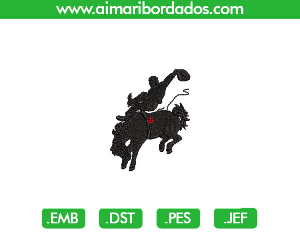 Jinete Bordado