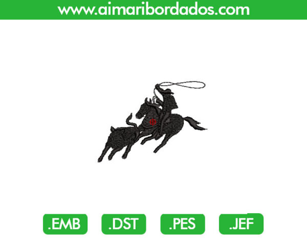Vaquero Bordado