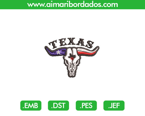 Texas Calavera Bordado