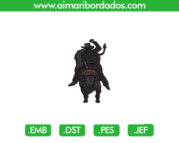 Toro Rodeo Bordado