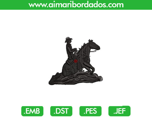 Vaquero Galope Bordado